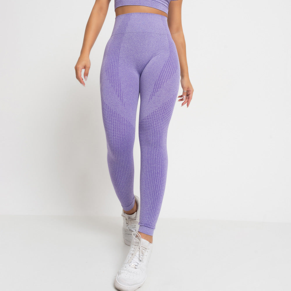 Nazzar Fit Seamless Grape Marl Fitness Leggings